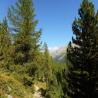 images/galerien/2016/Jodlerreise Pontresina/37.jpg